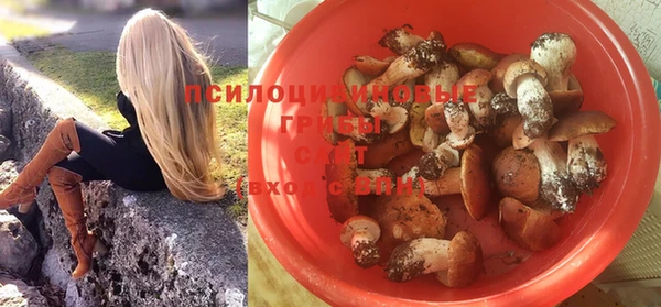 гидропоника Аркадак