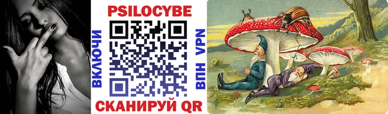 Купить  Бокситогорск  Псилоцибиновые грибы GOLDEN TEACHER 